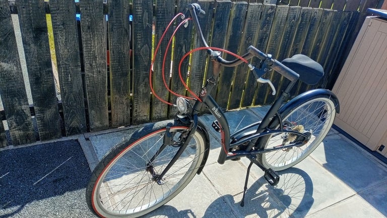Custom Shopper Bicycle 