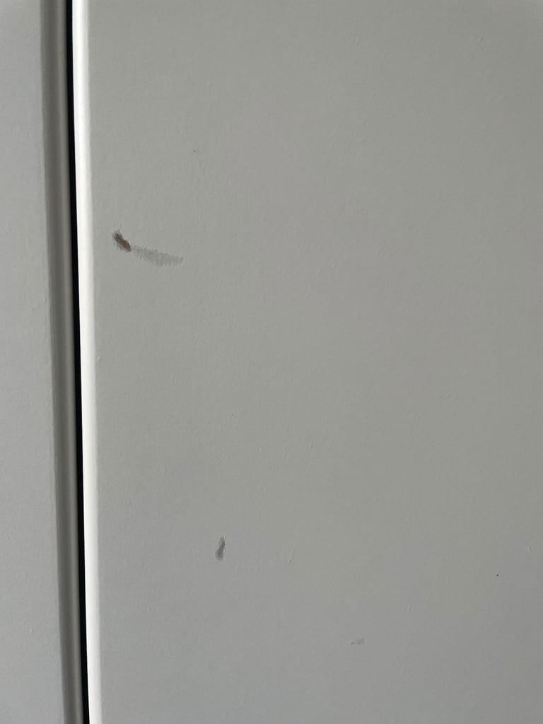 Kids IKEA wardrobe- free