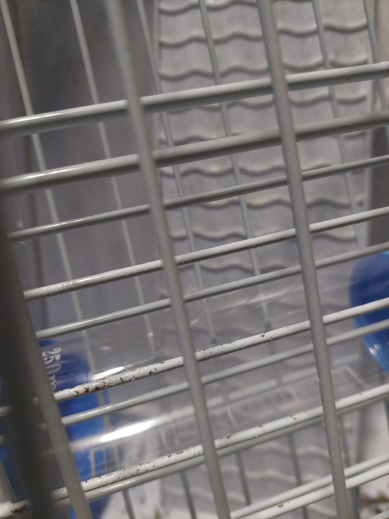 Big Rabbit cage like new.