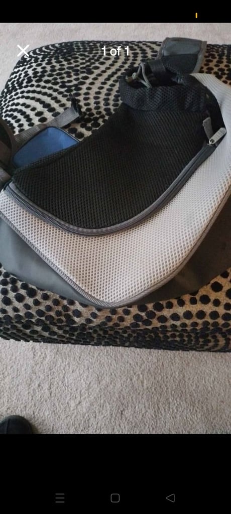 Puppy dog carrier (sold pending)