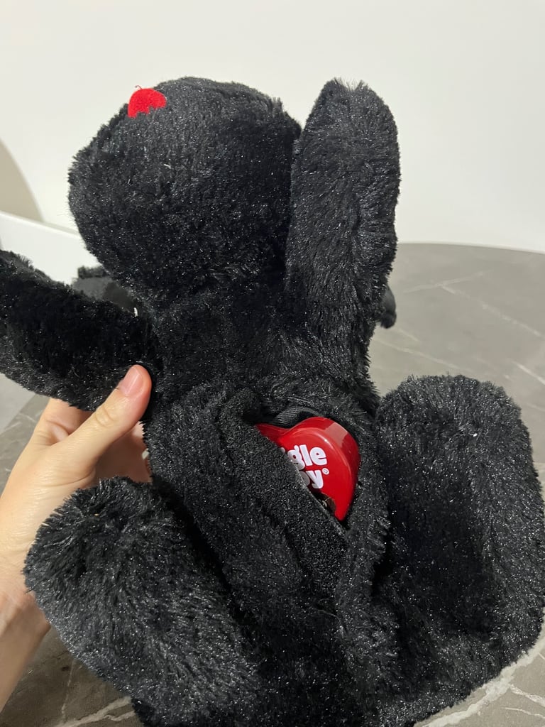 Snuggle puppy heartbeat toy