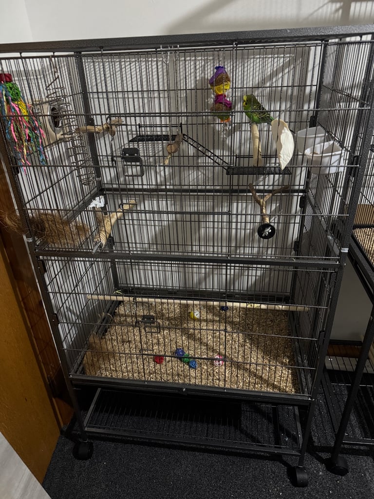 image for Xtra Large Bird Cage