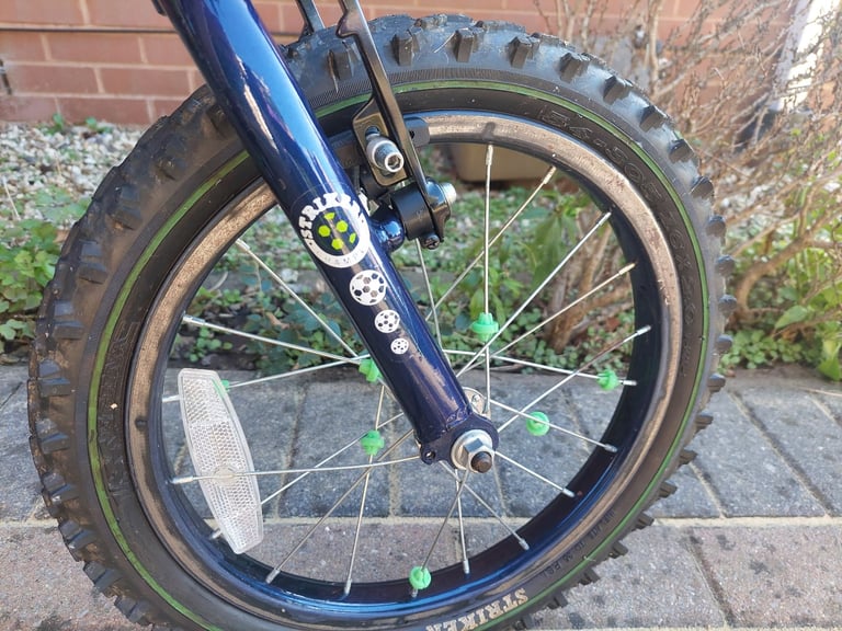 Raleigh Striker 16" Bicycle