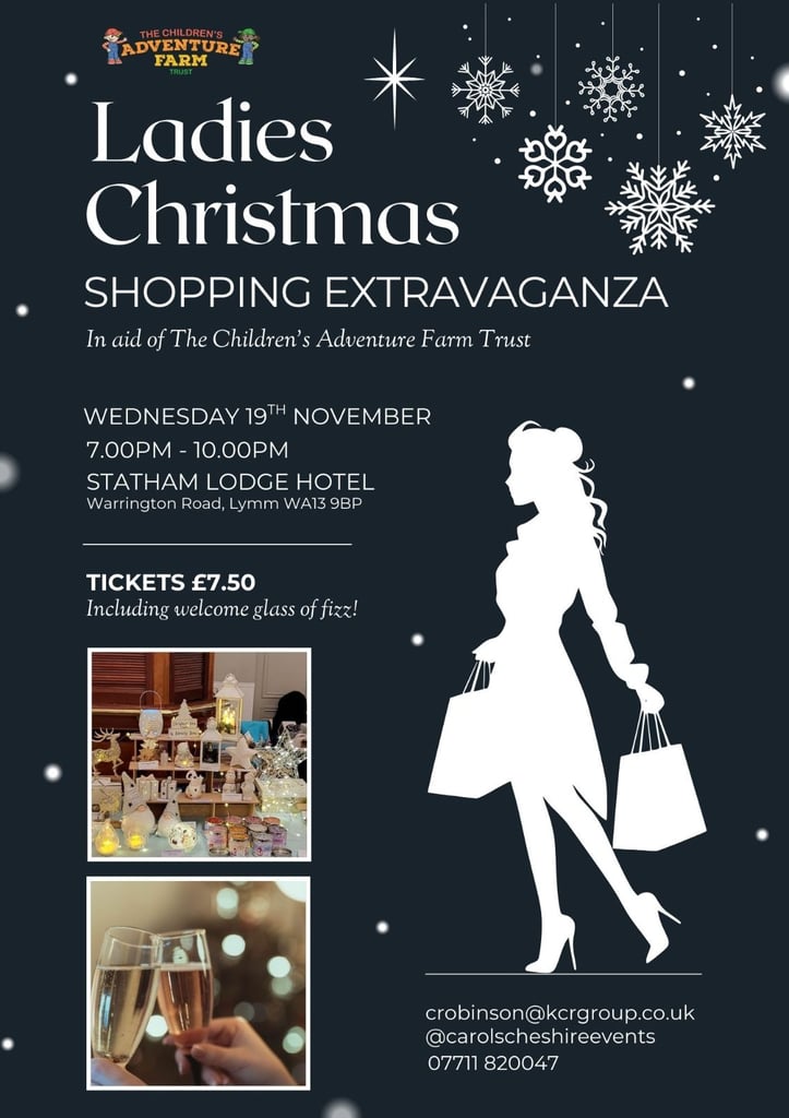 Ladies Christmas Shopping Extravaganza