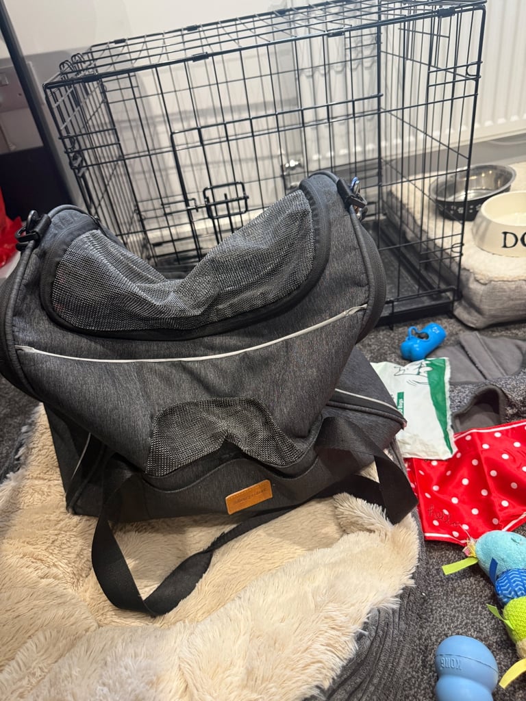 Small dog Accessories bundle