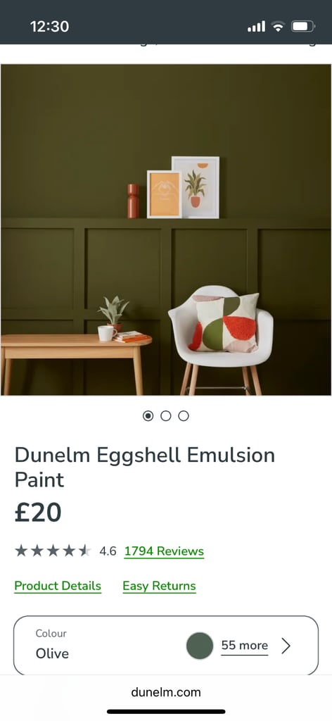 Dunelm eggshell emulsion Olive 1L paint
