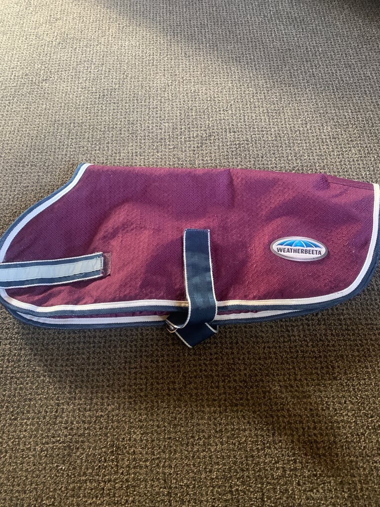 Weatherbeeta dog coat 24inch