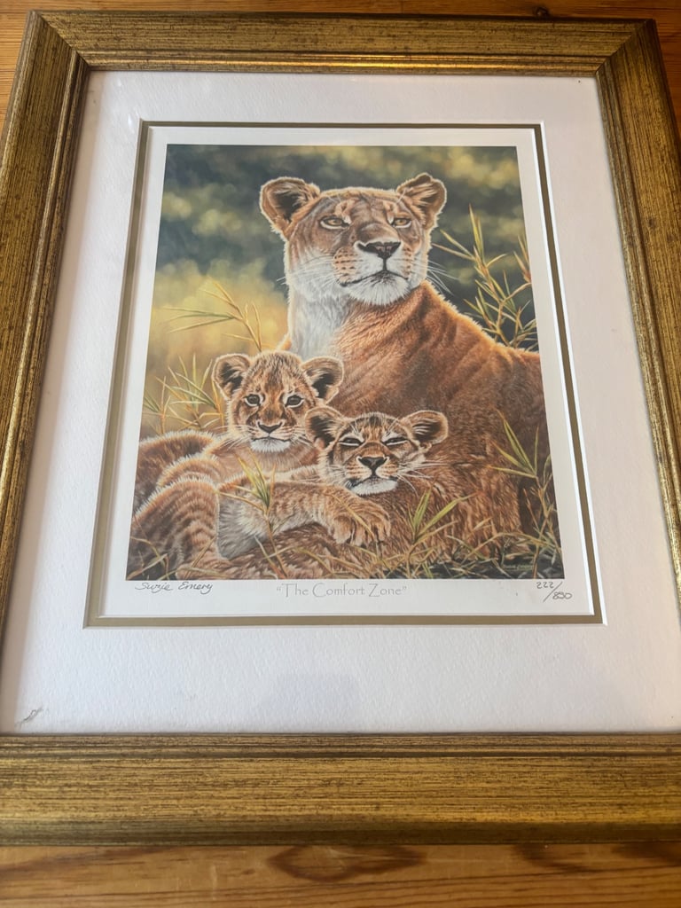 image for Suzie Emery The Comfort Zone limited addition print 