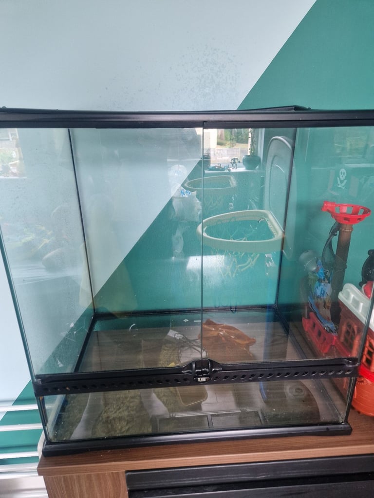 image for reptile vivarium 