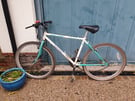 Used Mens Mountain Bike