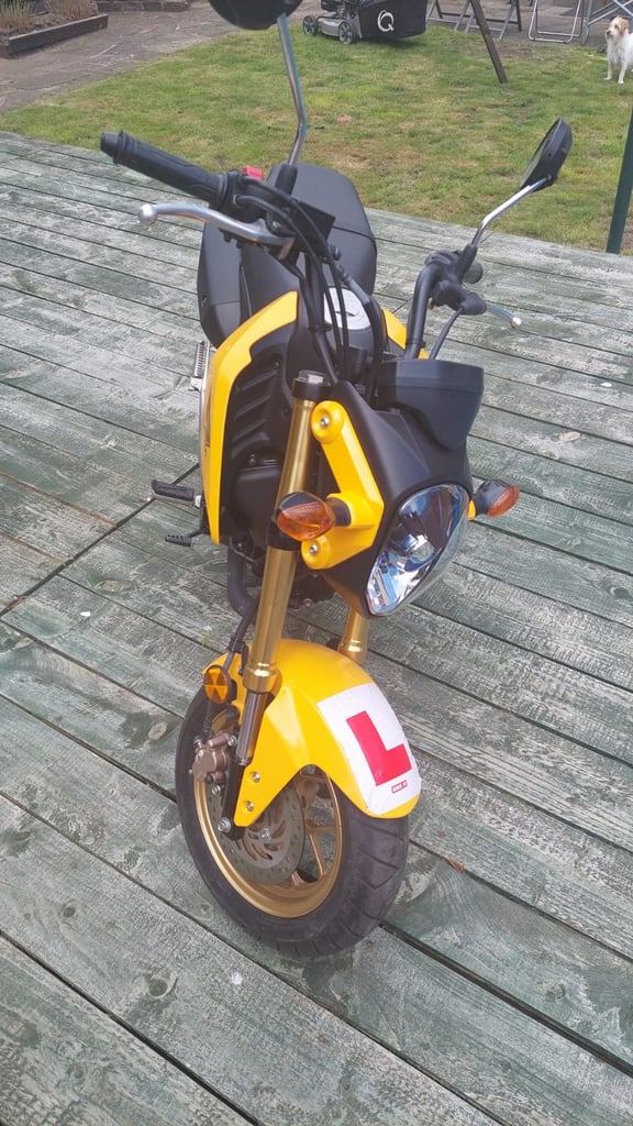 Honda MSX125 Grom 16Plate