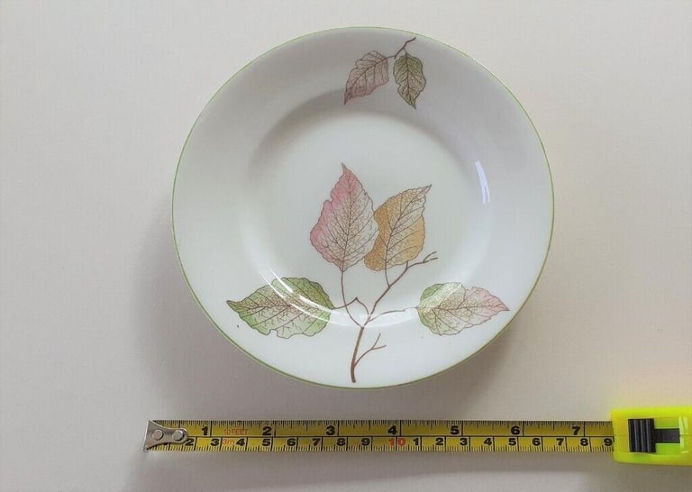 Royal Standard Fine Bone China Tea Set. Unusual pattern.