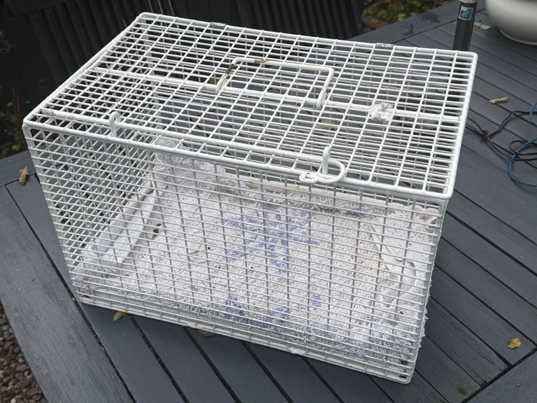 Vintage cat basket / pet accessory 
