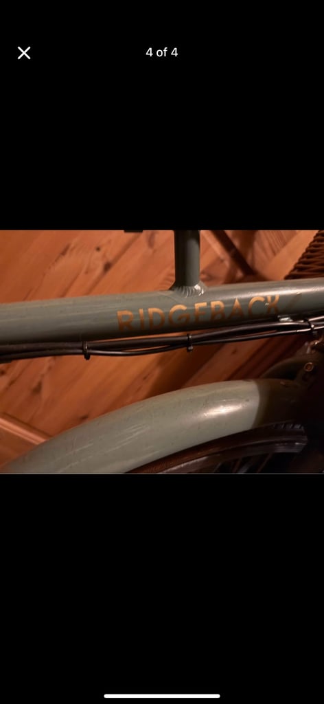 Ridgeback electric bike