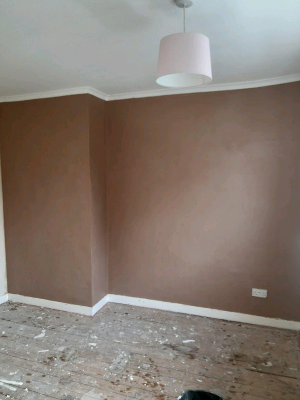 image for R.G.M. Plastering services