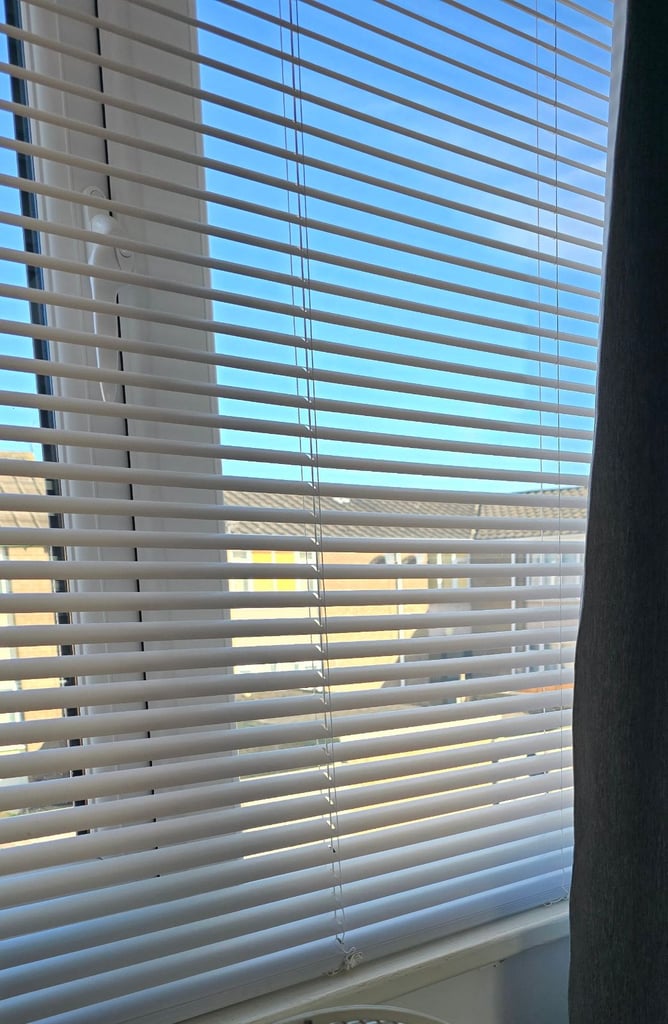 Venetian white blinds