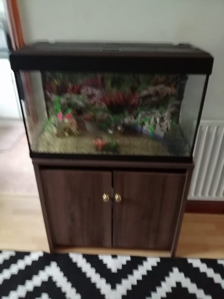 image for Fish tank with cupboard underneath with a few ornaments - COLLECT LIPHOOK