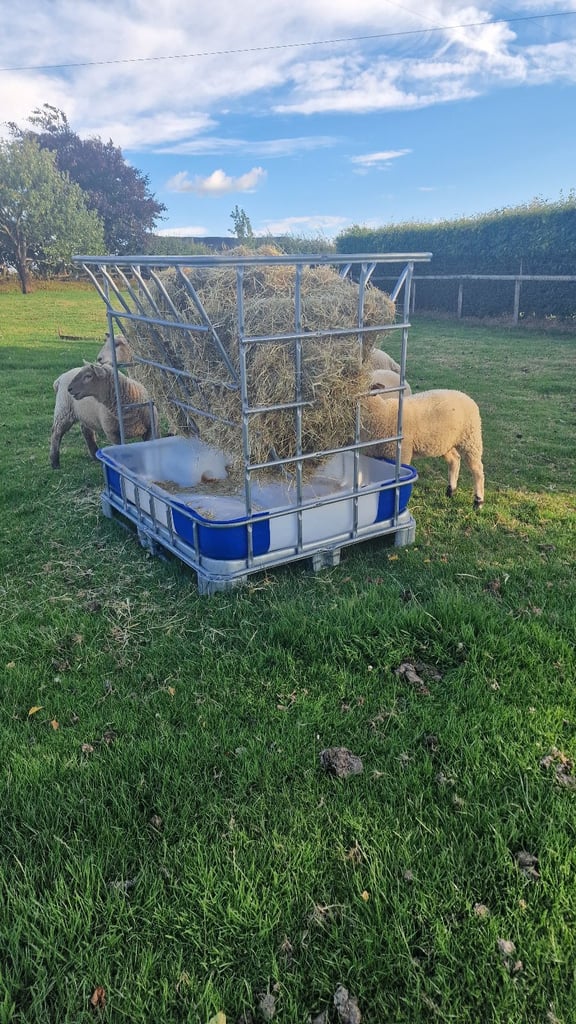 Hay Feeder