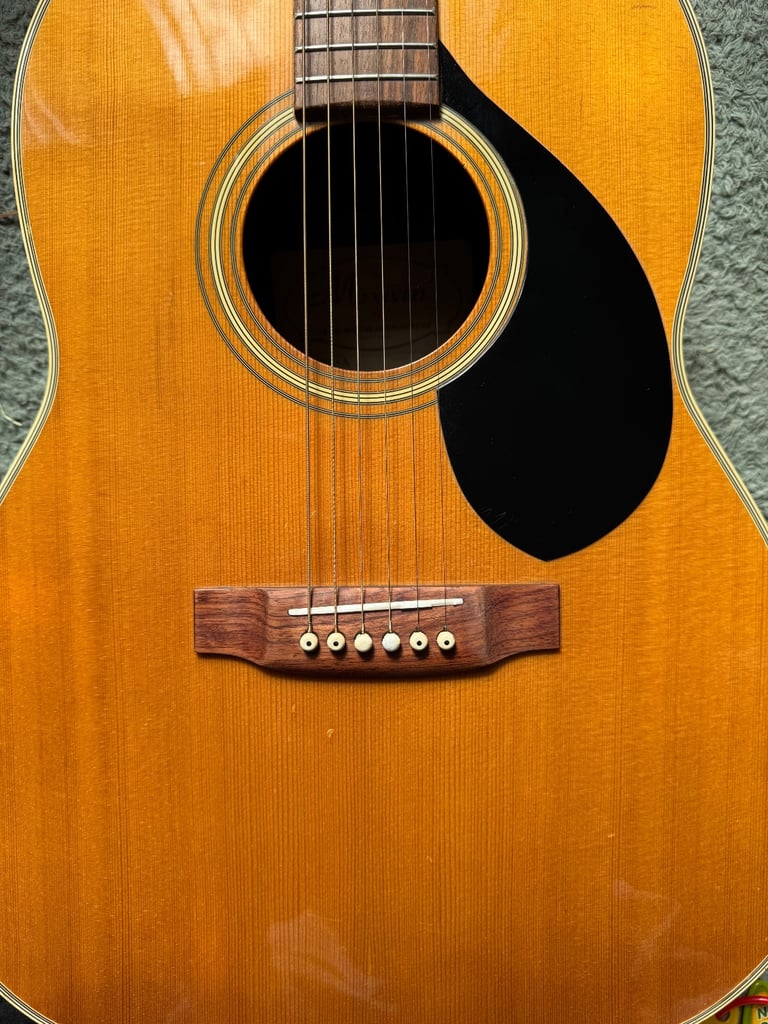 Rare Maxwin Bowlback Acoustic Made in Japan 
