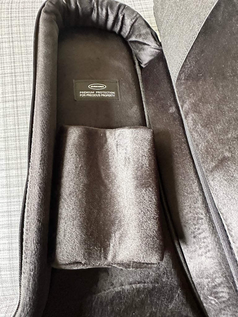 Padded Electric Guitar case by “Music Area”