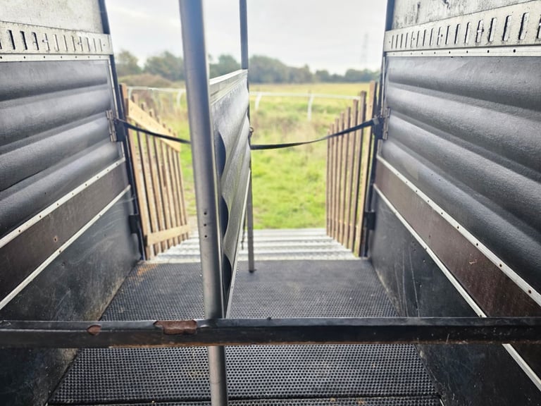 3.5t horsebox
