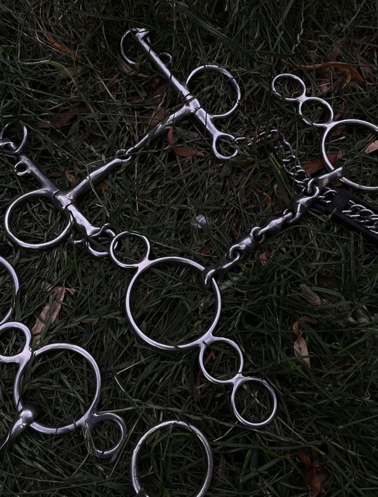 7 DIFFERENT HORSE BITS