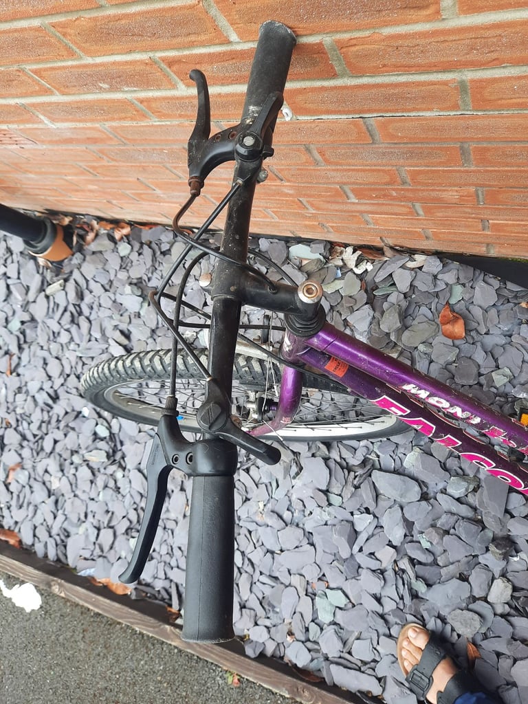 Adults Cycle / Bicycle 