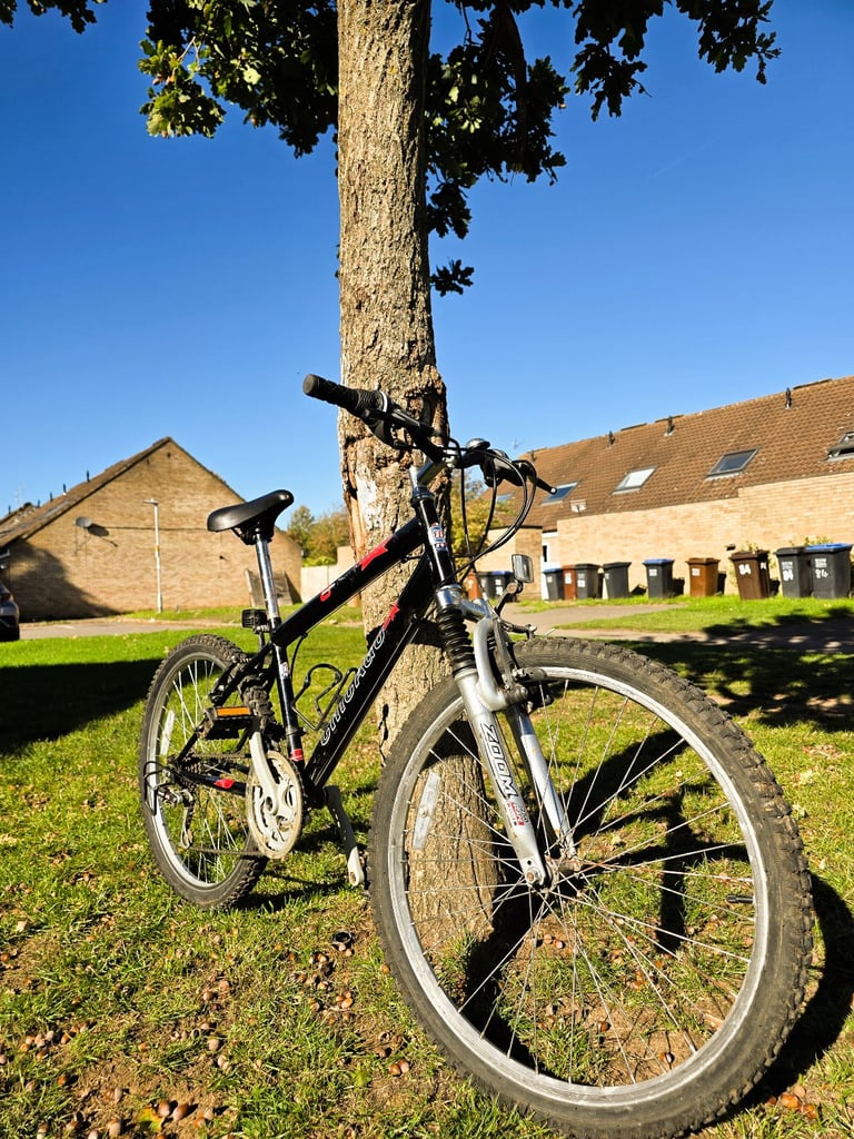 image for Chicago Adult Mountain Bike