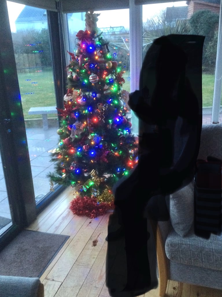 image for Christmas tree 6ft