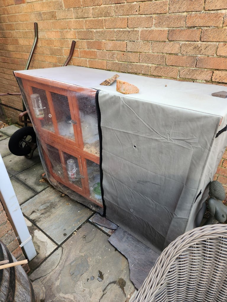 Rabbit hutch free