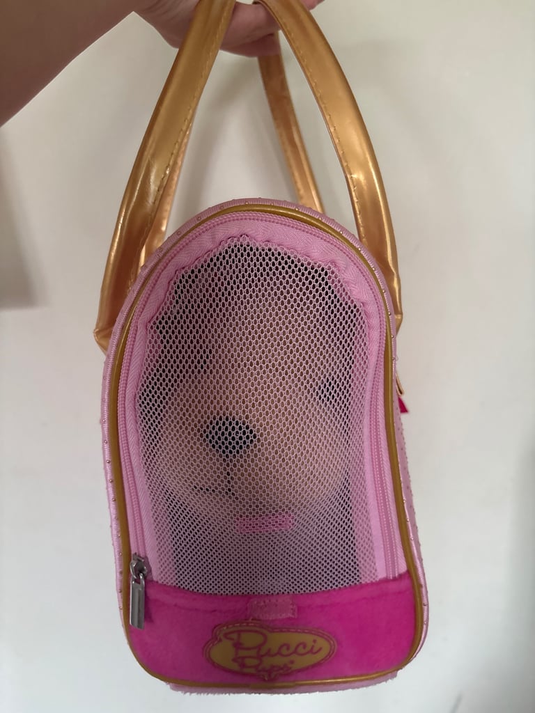 Children’s Pucci Pups pink toy carrier bag