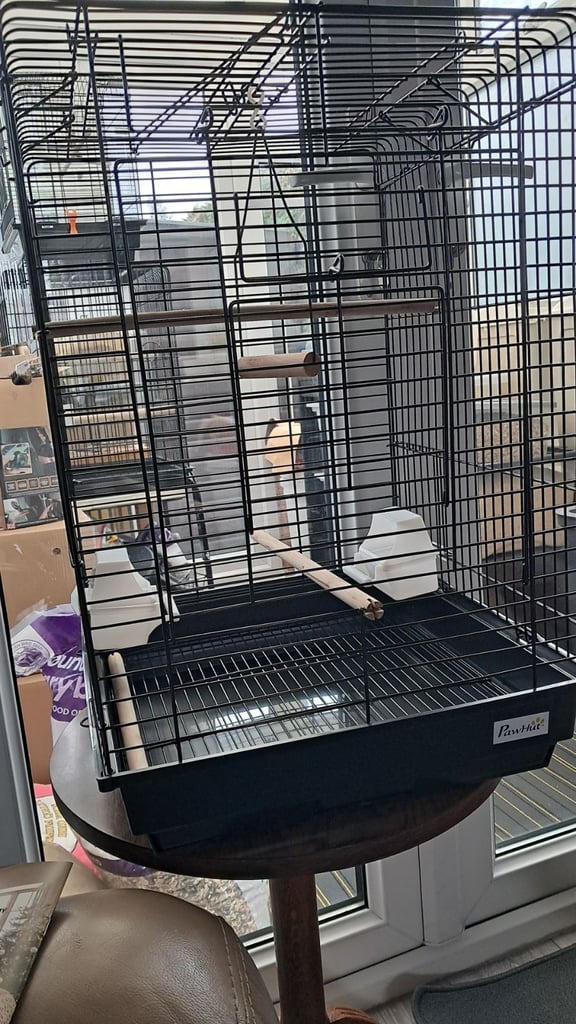 New Bird  Cage 