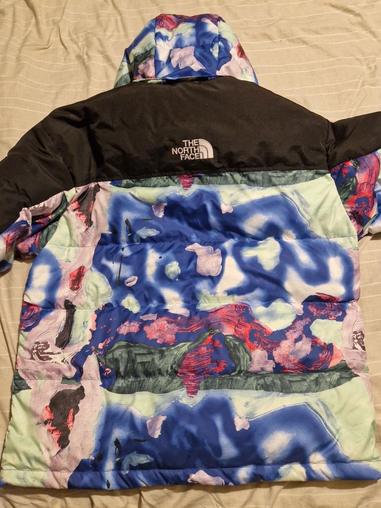 The north face ski coat