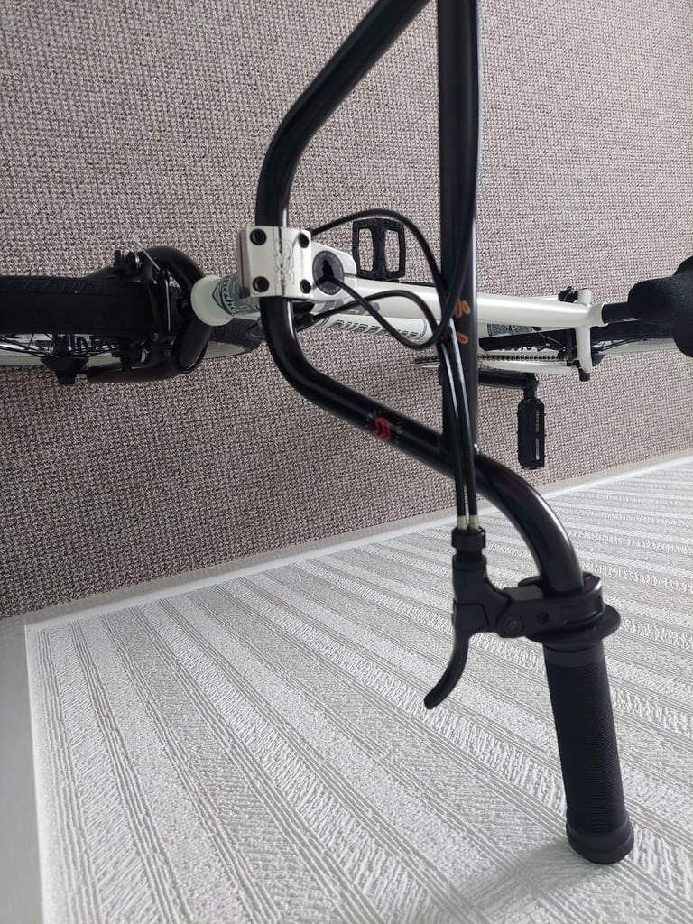 BSD SURESHOT Custom BMX 