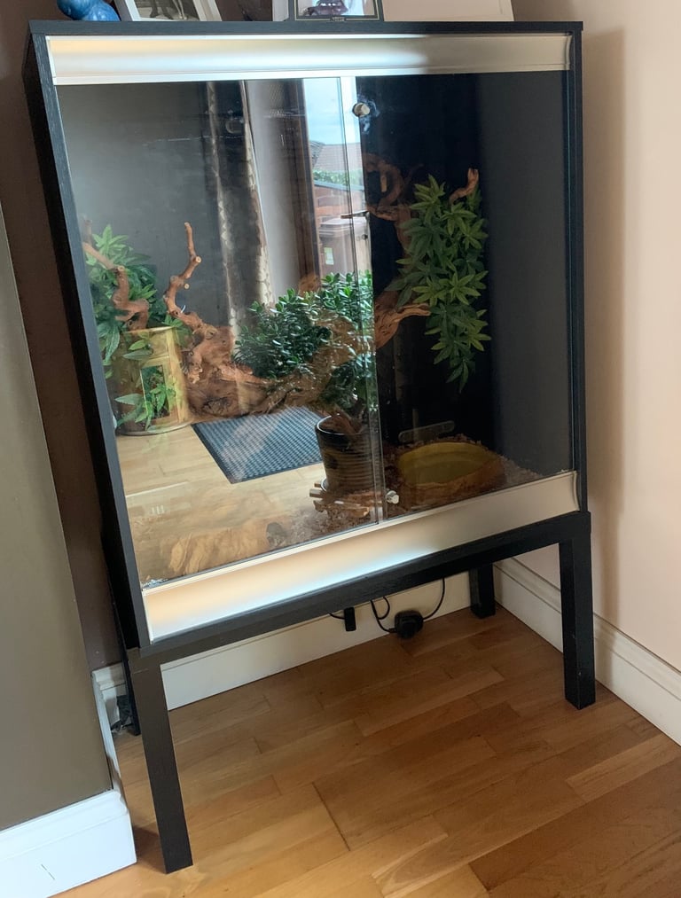 Vivarium Large Vivexotic Black 