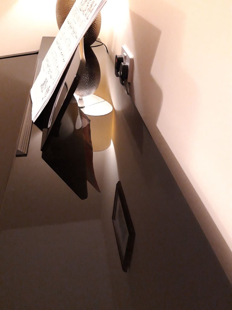 Piano Concert Electric with high glossy black lacquer finish. 