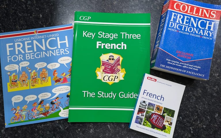 image for Learn French Book Bundle