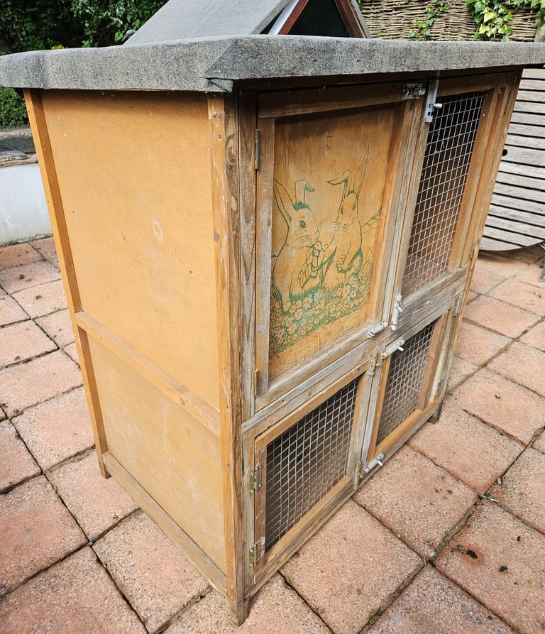 Dwarf rabbit/guinea pig hutch