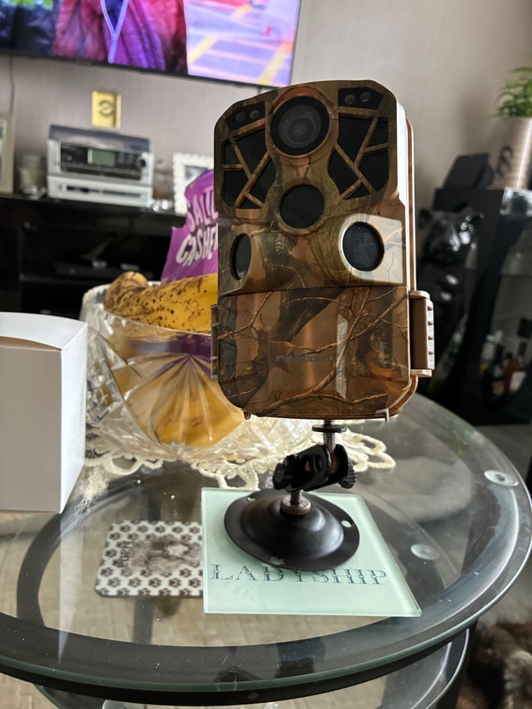 DL502 trail camera