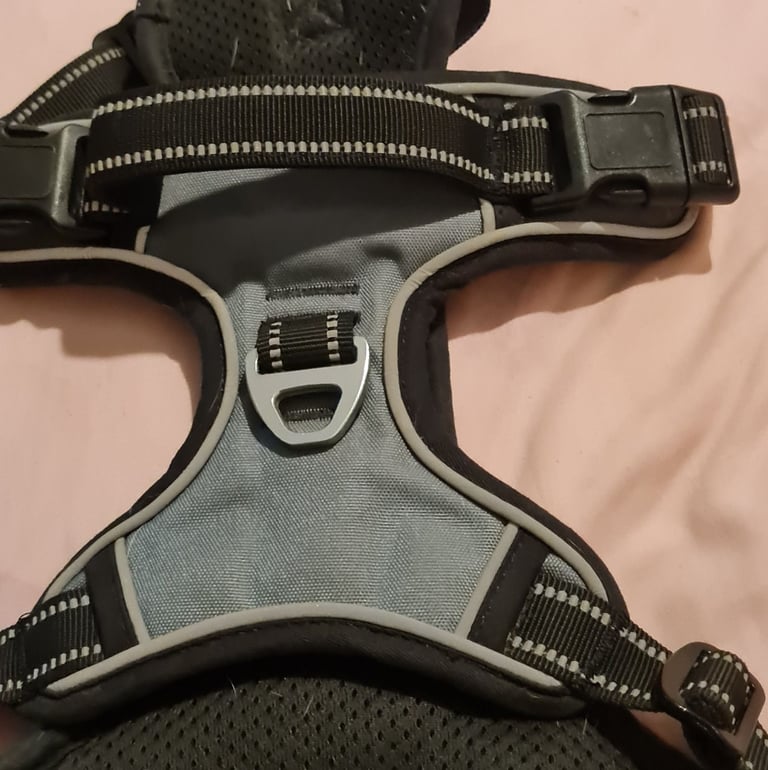 Dog Harness 