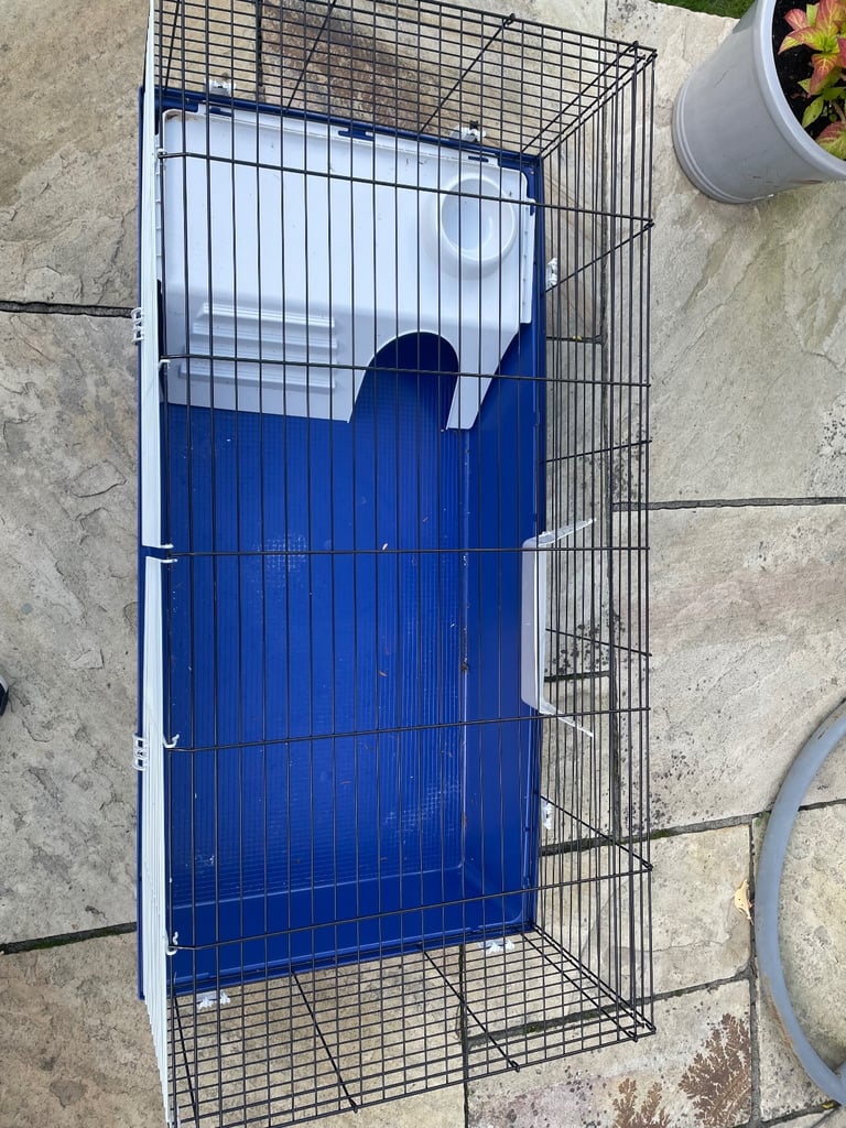 Temporary Guinea Pig & Rabbit Home 120cm Indoor