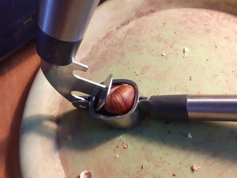 snack size English Sweet Chestnuts x 80 - open with a garlic press