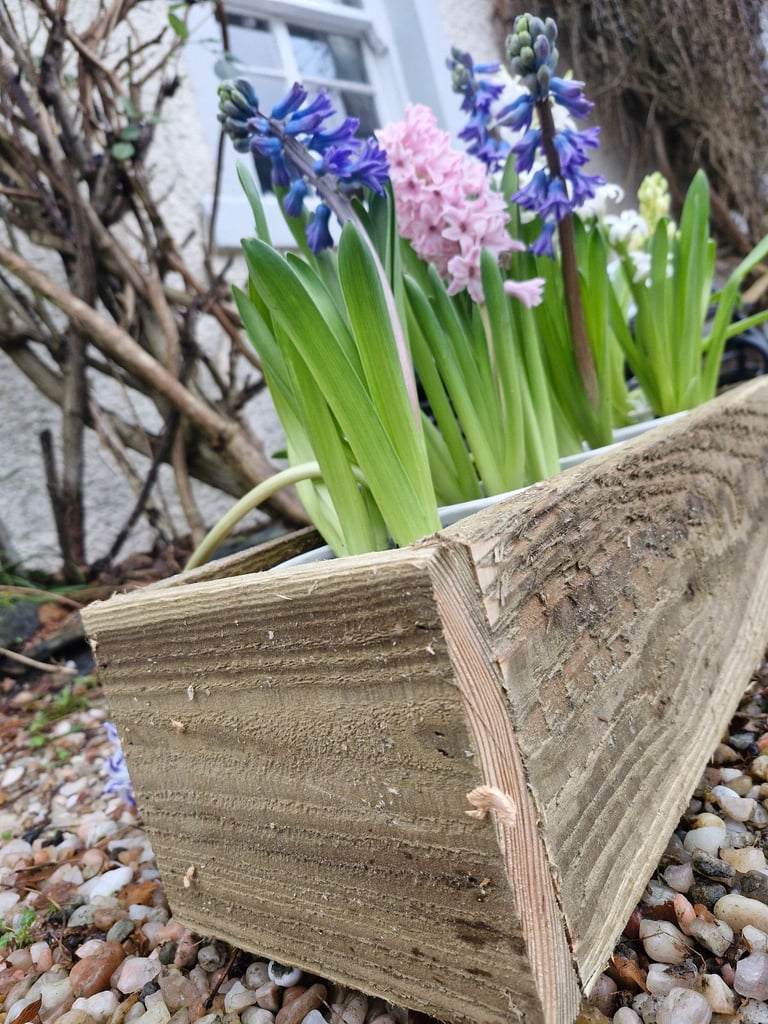 £10 Flower planters 