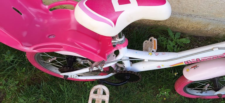 Huffy Cactus Huffy Desert Rose Bicycle Vintage Huffy Huffy Coupon