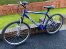 Teenagers or gents 18 speed Challenge bike, bicycle great condition.