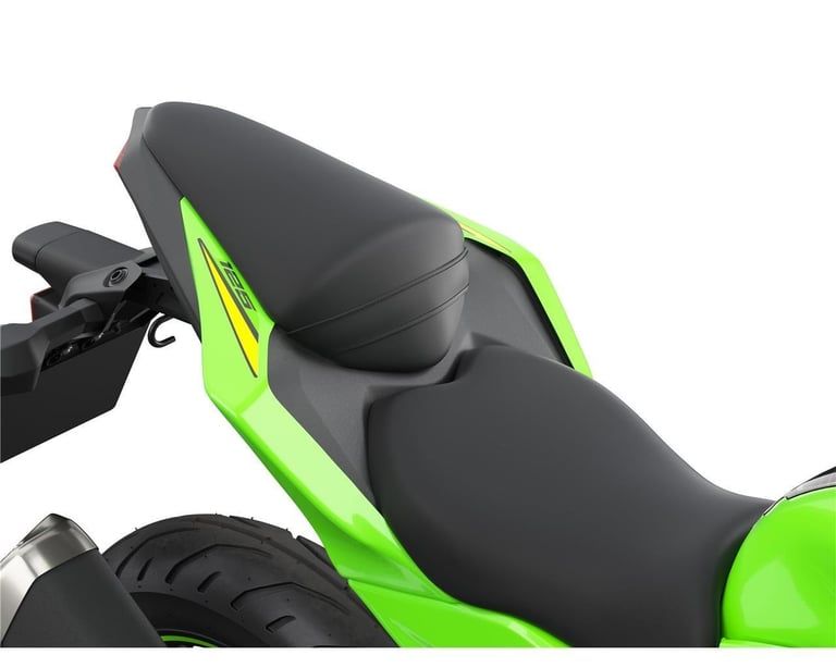 New 2026 Kawasaki Motorcycle Ninja 125 Green Grey Due November