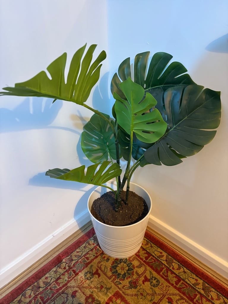 image for Ikea Plant Pot & Plant White