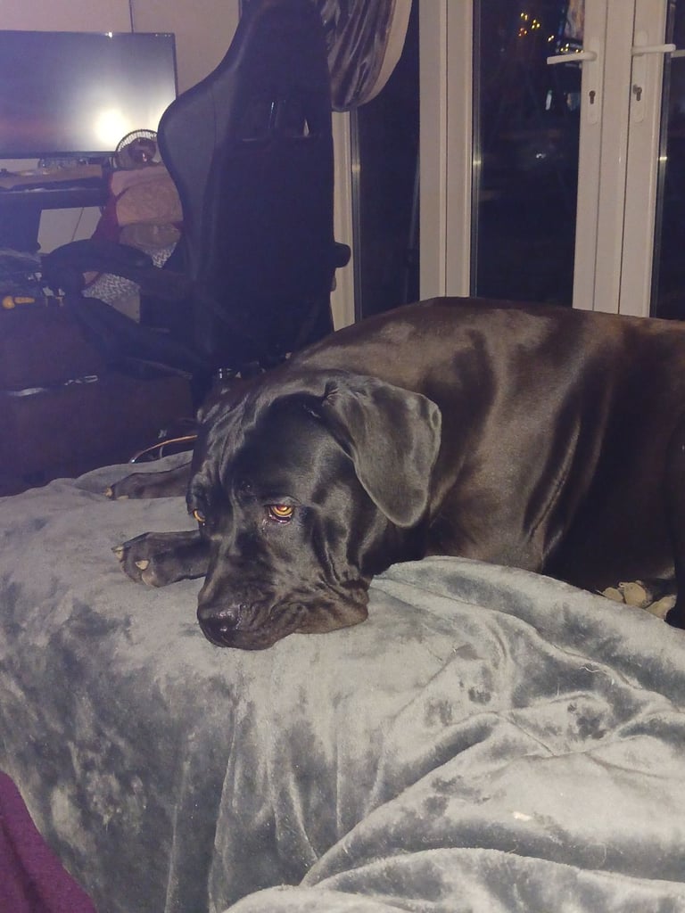 Maggie