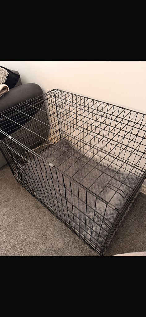 Large dog crate 