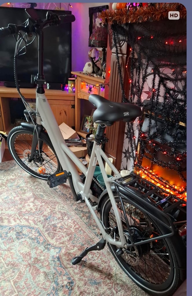 Electric bike for sale 
